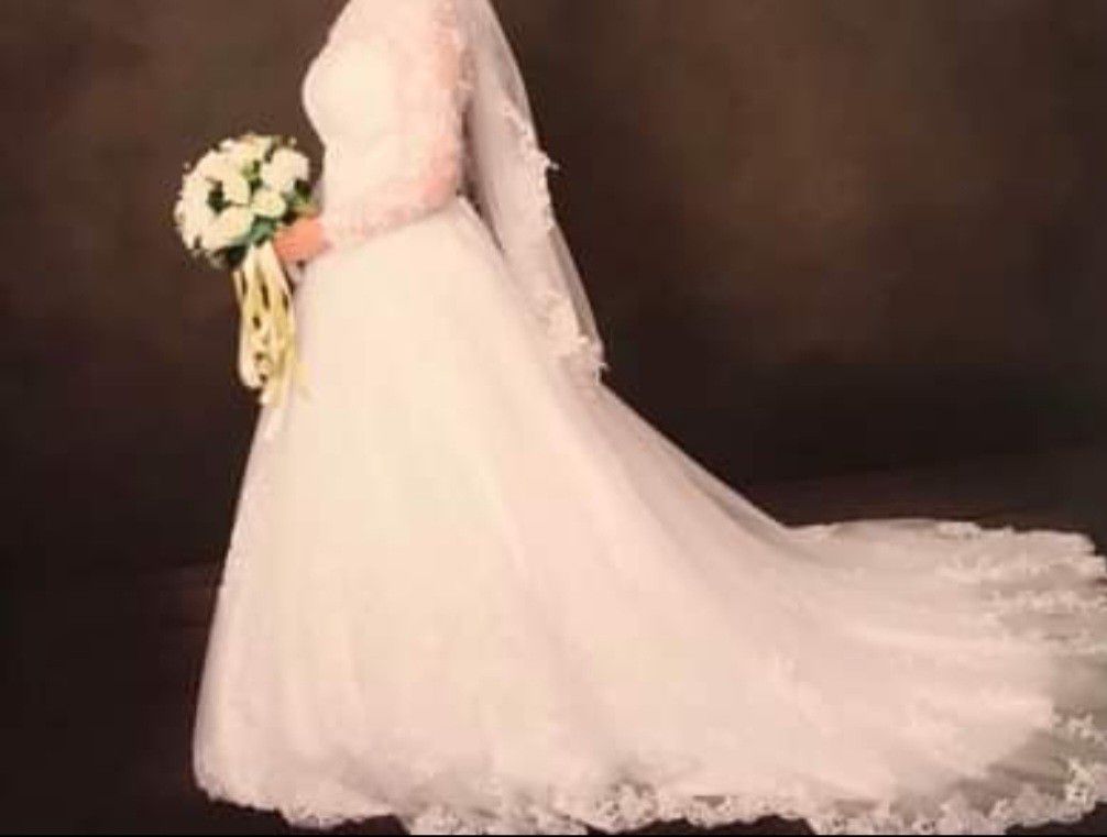 Wedding Bridal dress, Veil With Comb, and Petticoats Skirts - $150 OBO