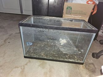 10 gallon tank with substrate