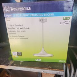 Led Light Brush Nickle