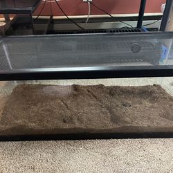 20 Gallon Long Tank With Lid