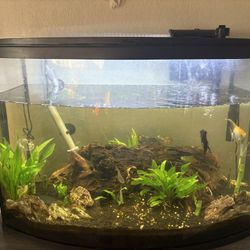 Fish Tank