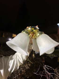 Ceiling Light for Sale