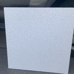 Acoustical Ceiling Tile 
