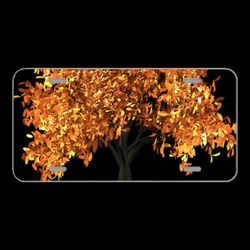 License Plate Novelty Car Front Tree Leaves Autumn Fall Foliage