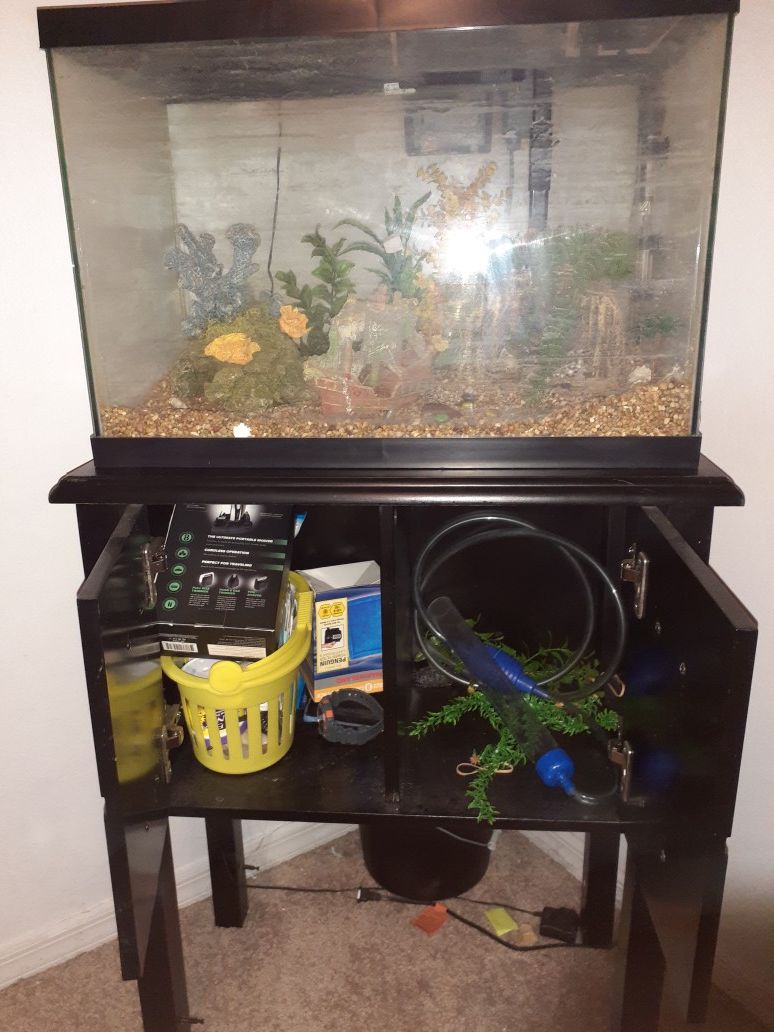 Fish tank and stand and all the accessories in it