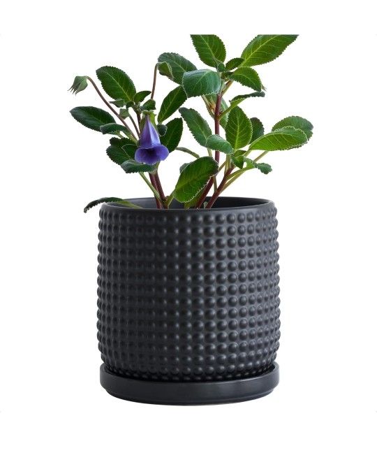 6 Inch Ceramic Beaded Stoneware Planter Pot - Flower Pot with Drainage Holes and Saucers for Indoor Succulent Plants or Flowers