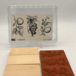 Stampin' Up Sun Ripened II  Set 3 Rubber Stamps Orange Blossom Apple Grapes 2002