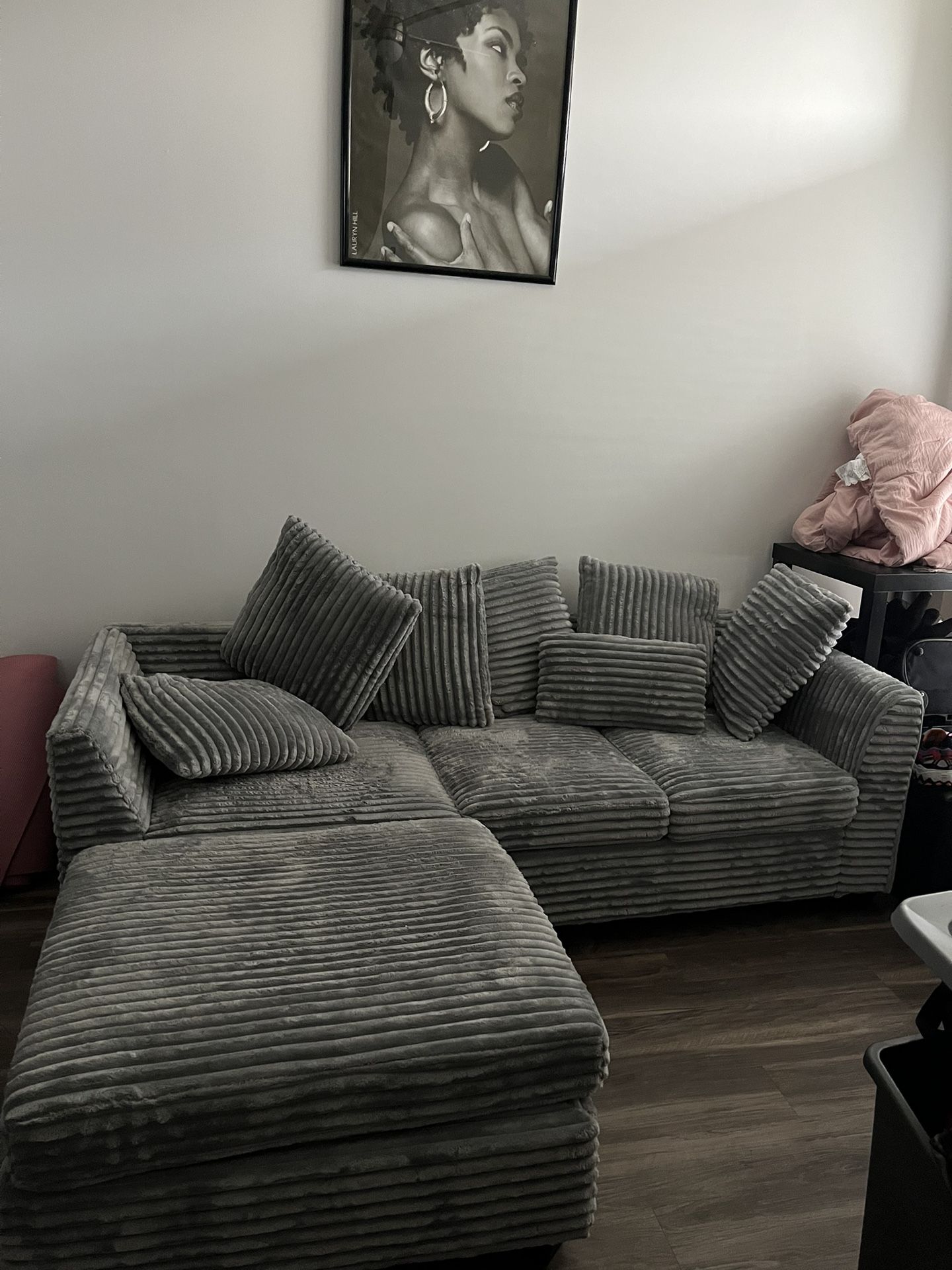 Small Plush Grey Couch