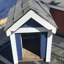 Dog House 