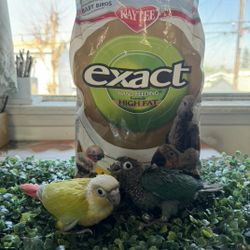 Baby Bird Formula