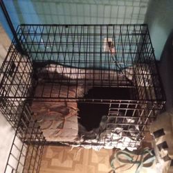 Dog Kennel