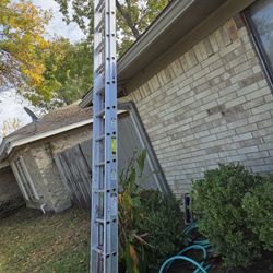 Werner Ladder 24ft 