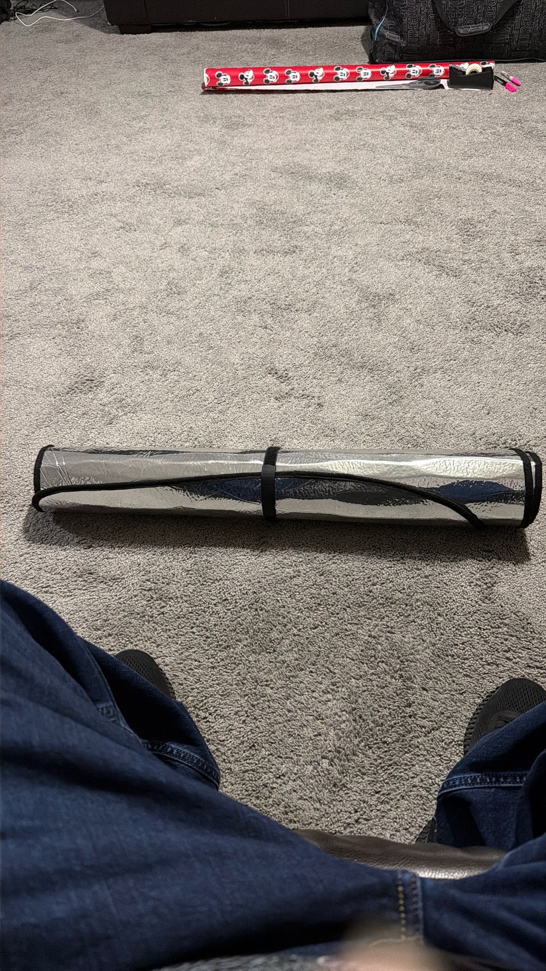 Windshield Sun Shade