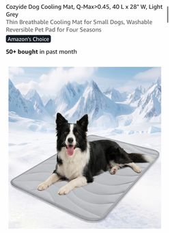 Cooling Dog Mat