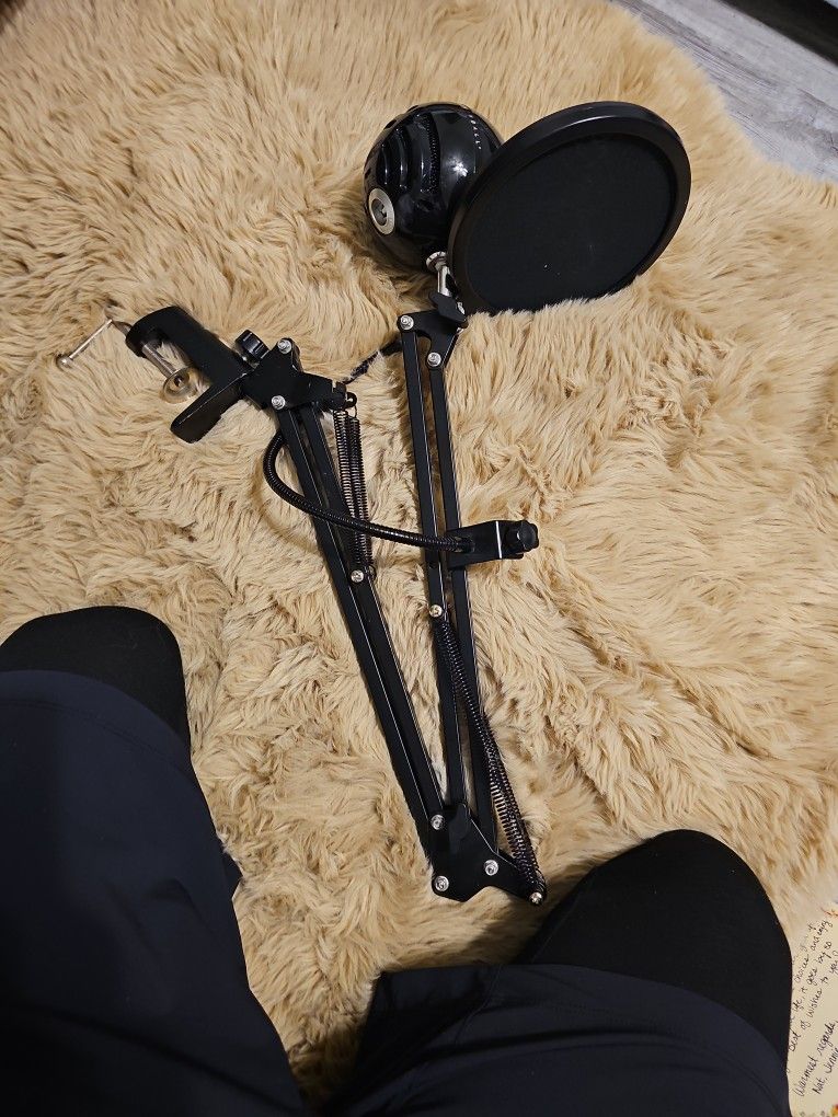 Mic
