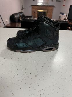 Jordan 6 Retro All-Star Chameleon (2017) (GS) 6Y