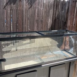 45 Gallon Aquarium Only
