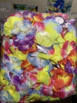 Hawaiian Leis Colorful 