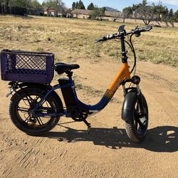 Ridstar electric bike mn-1