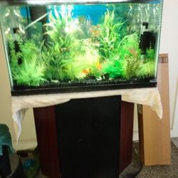 30 Gallon Fish Tank With  Stand Plant Not Included Fish Not Uncluded
