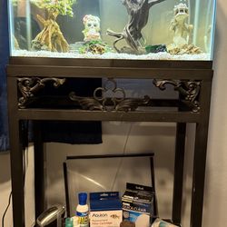 20 Gallon Fish Tank With Stand And Products