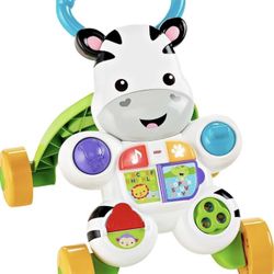 Unisex Fisher-Price Baby Learning Toy. Zebra Walker with Music Lights and Fine Motor Activities