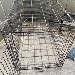 XL dog Cage Looking To Trade For A Large
