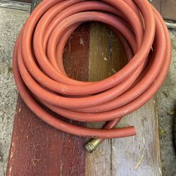 50 Pies. Asi Comosemira 