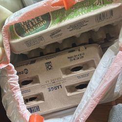 Free Empty Egg cartons