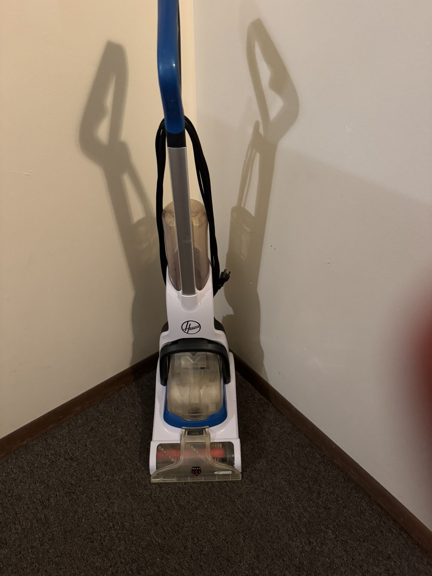 Carpet Cleaning Bissell
