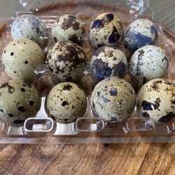 Quail Eggs 