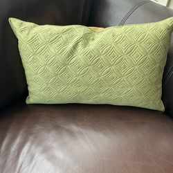 Green Accent Throw Pillow