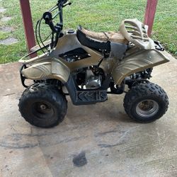 Tao Tao 110