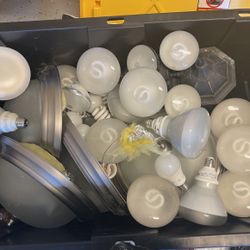Ceiling Mount Lights -3  And Outdoor Light And Few Bulbs  