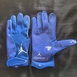 Brand New Nike Jordan Vapor Fly Football Gloves Game Royal Blue White Men Size Large