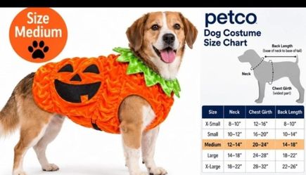 Halloween Pumpkin Jack-O'-Lantern Dog Costume – Medium Orange Velvet NWOT