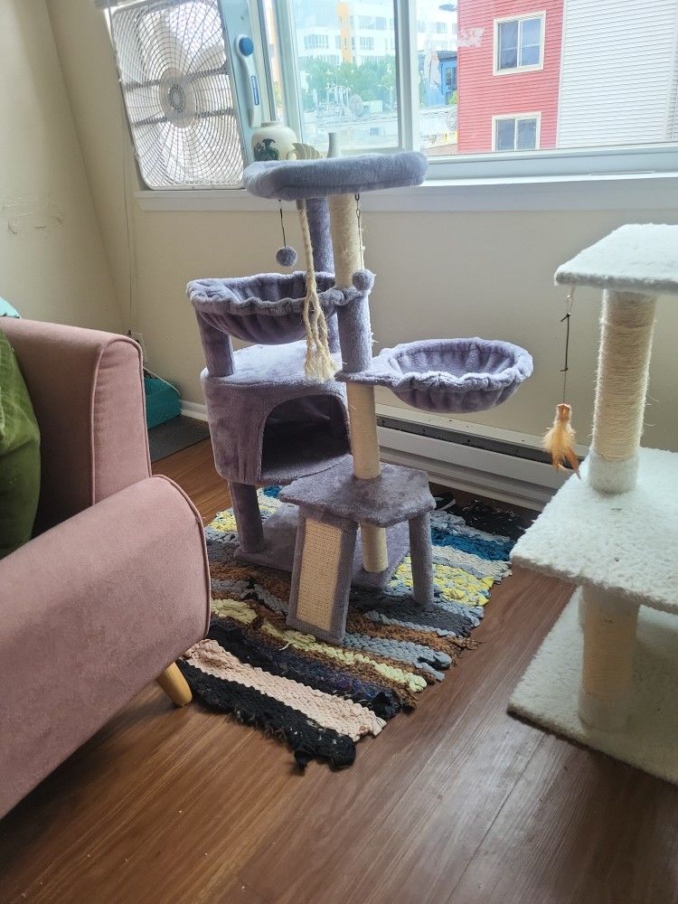 CAT TREE / CONDO