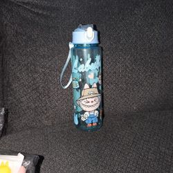 Labubu Water Bottle 