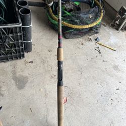 Fishing Rod for Sale 