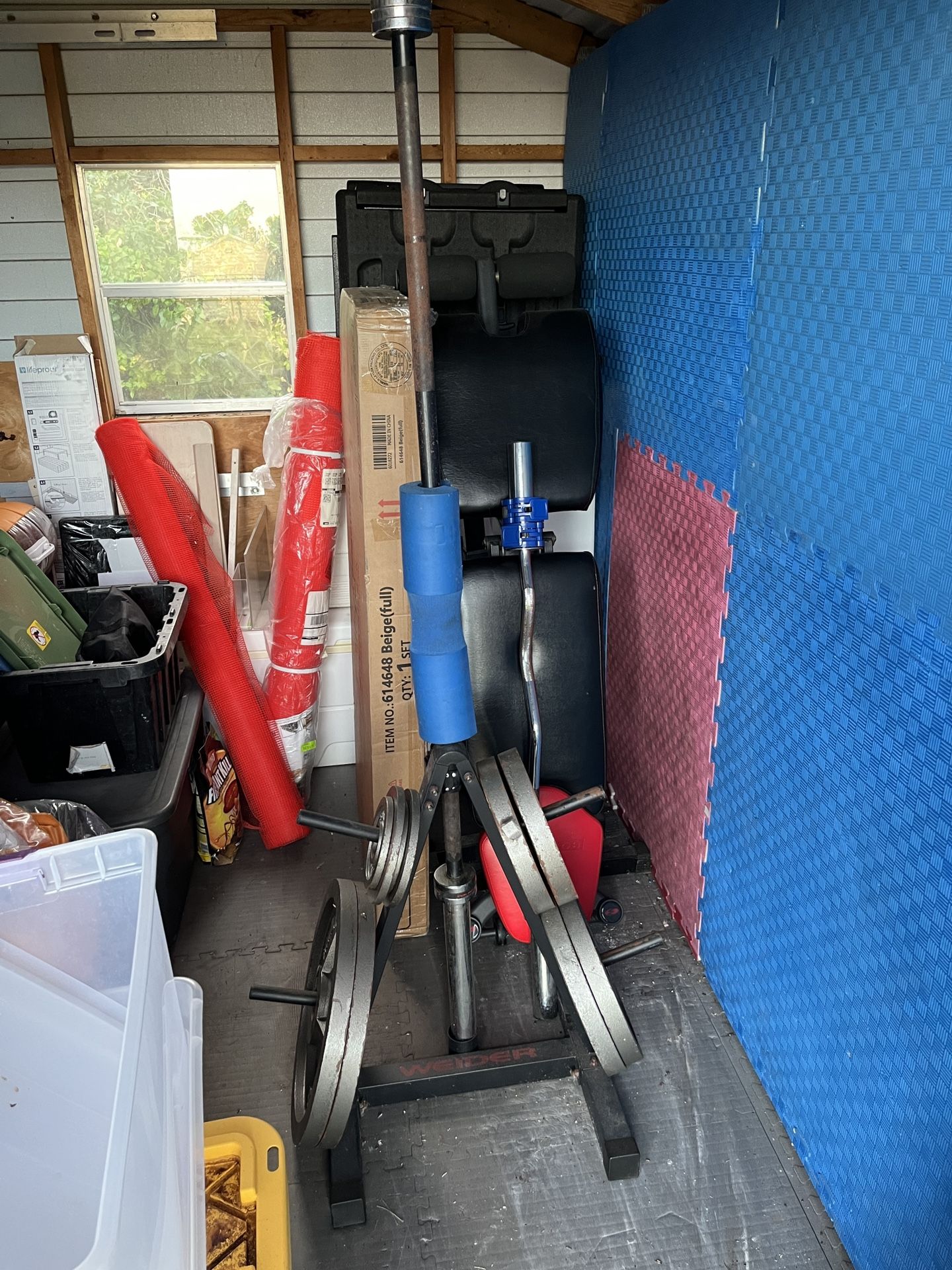 Gym Equipment For Sale