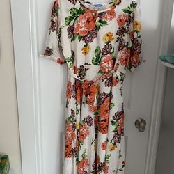 Dress Size Large - New