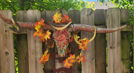 Longhorn Hand Painted Skull