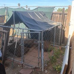 Dog Cage
