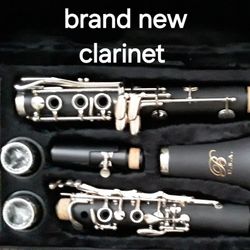 Brand New Clarinet, Has Never Been Played 