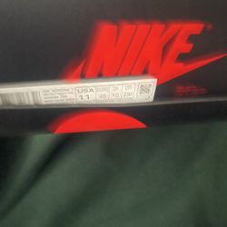 Jordan 1 Brotherhood