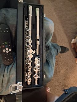 Flute and clarinet student instruments