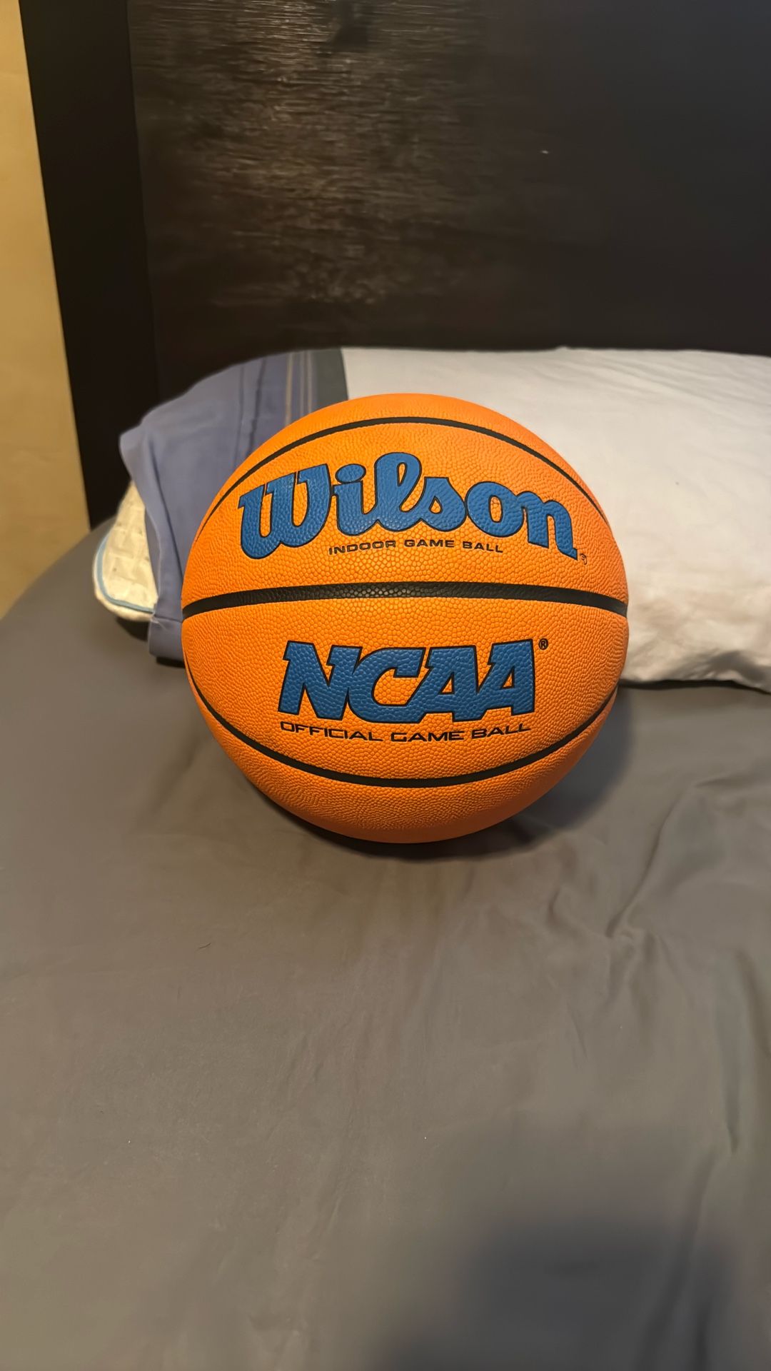 Wilson Basketball