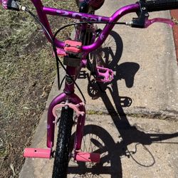 20 Inch Girls Bike