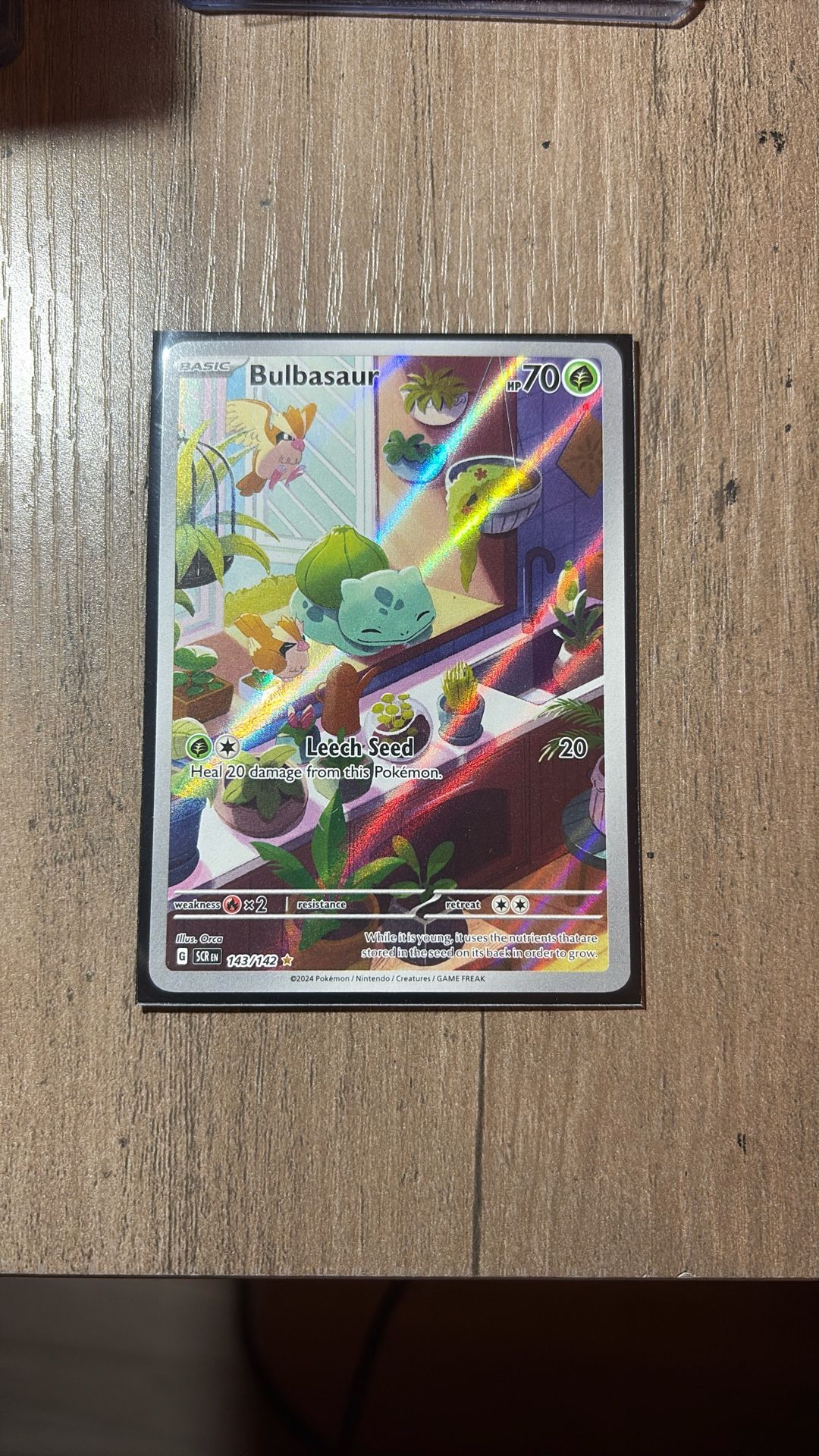 Bulbasaur IR