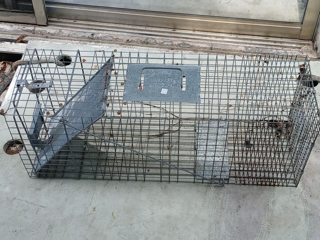 Animal Trap